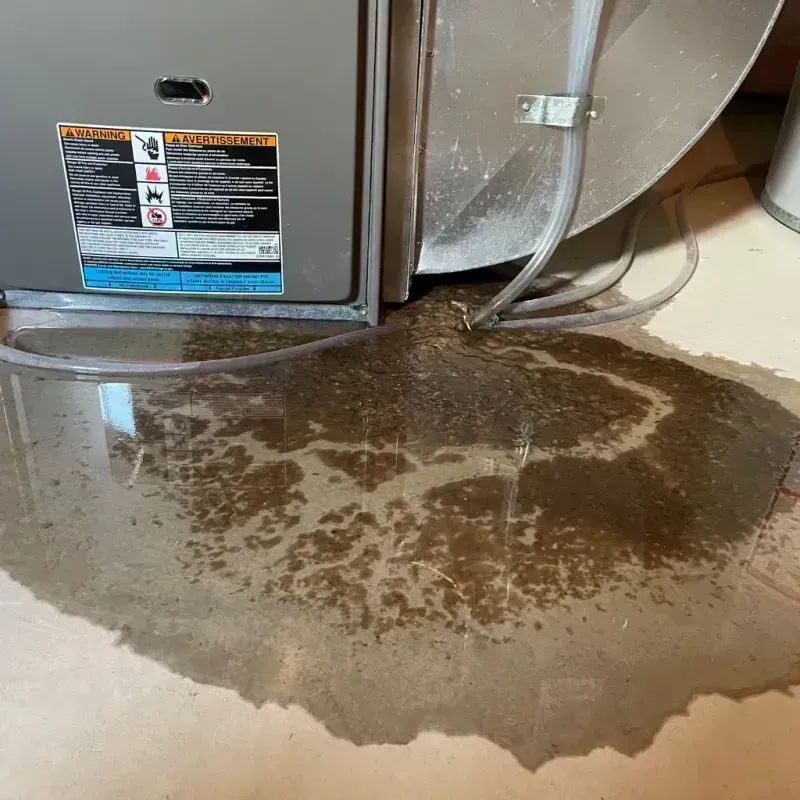 Appliance Leak Cleanup in Casey County, KY